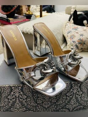 Express Metallic Silver Chain-Link Block Heel Mules